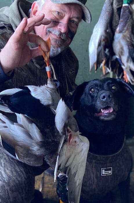 Hunter holding a duck with hunting dog