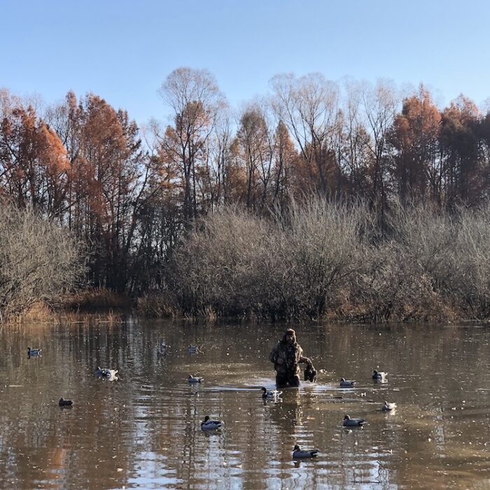 lake duck hunt